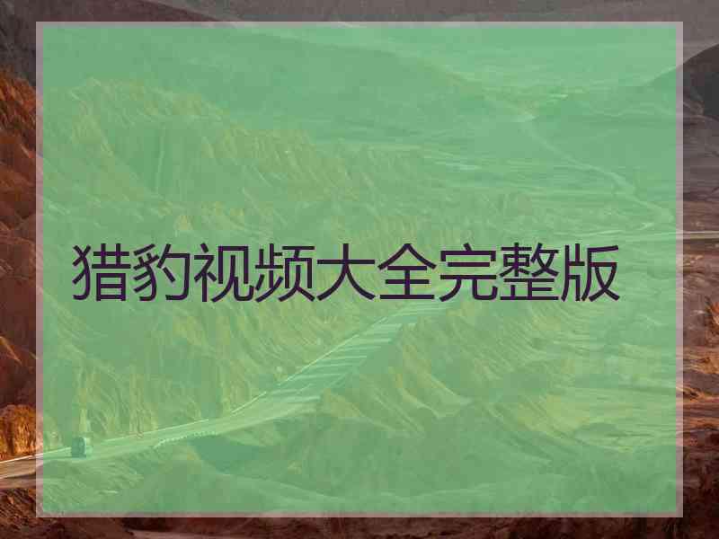 猎豹视频大全完整版