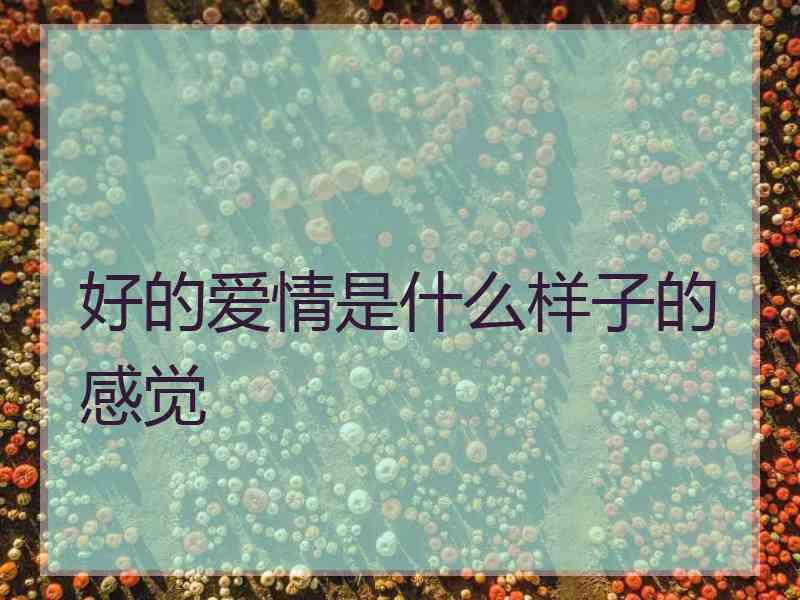 好的爱情是什么样子的感觉
