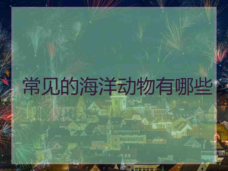 常见的海洋动物有哪些