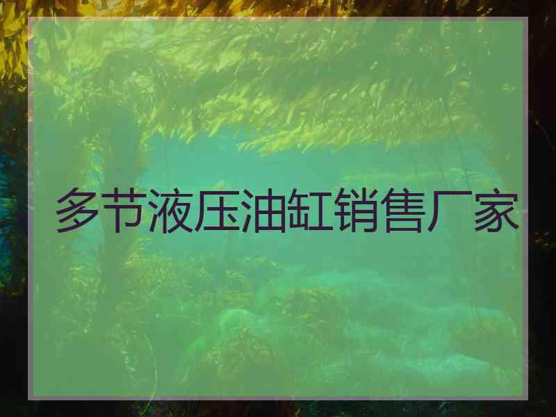 多节液压油缸销售厂家