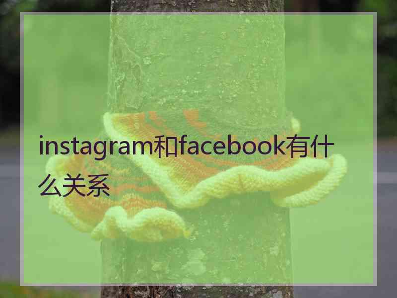 instagram和facebook有什么关系