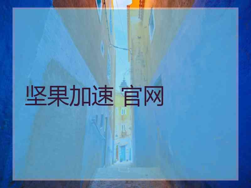坚果加速 官网
