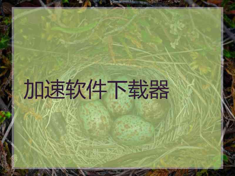 加速软件下载器
