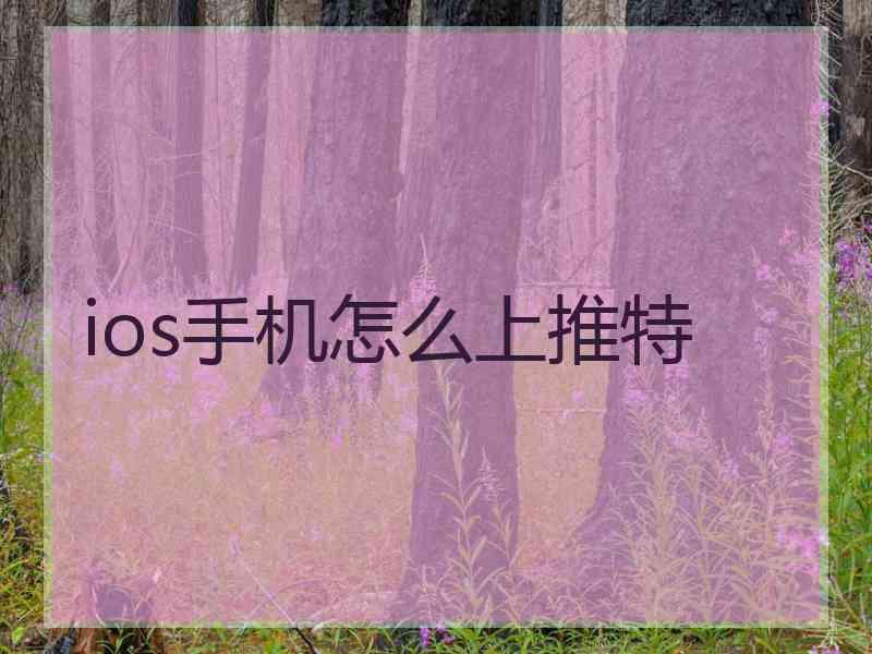 ios手机怎么上推特