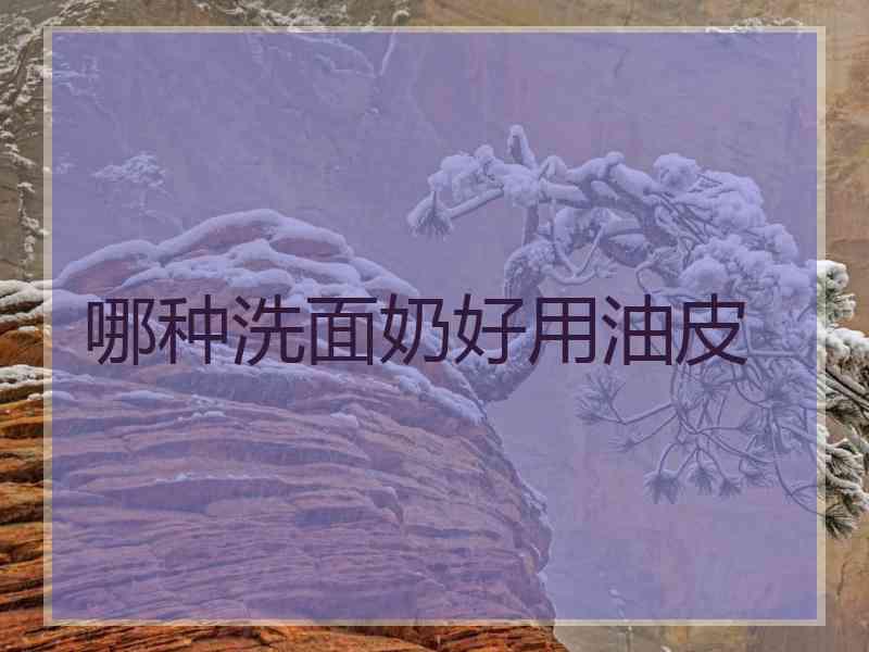 哪种洗面奶好用油皮