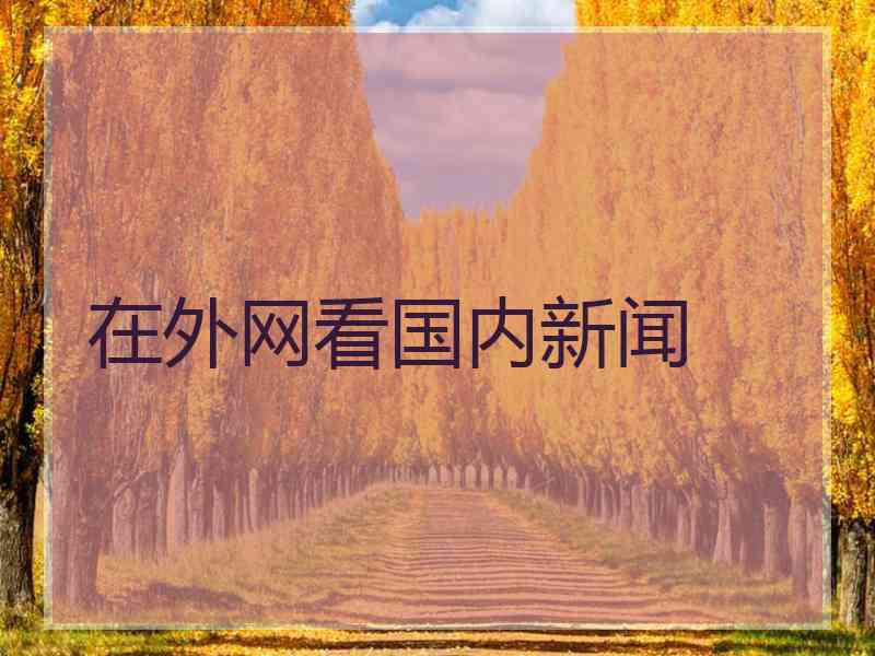 在外网看国内新闻