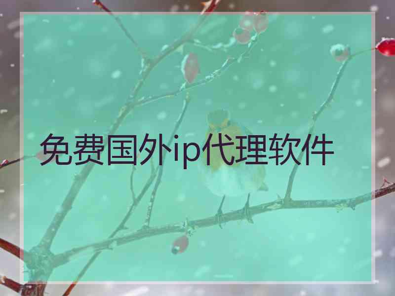 免费国外ip代理软件