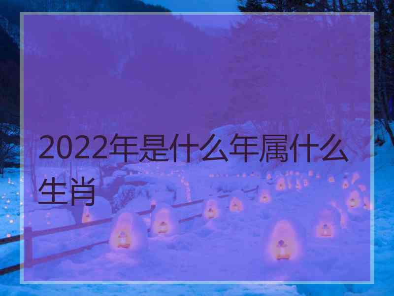 2022年是什么年属什么生肖