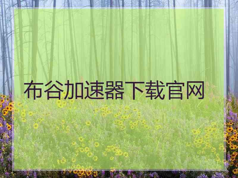 布谷加速器下载官网