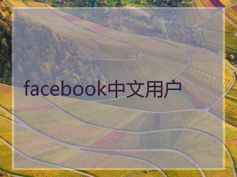 facebook中文用户