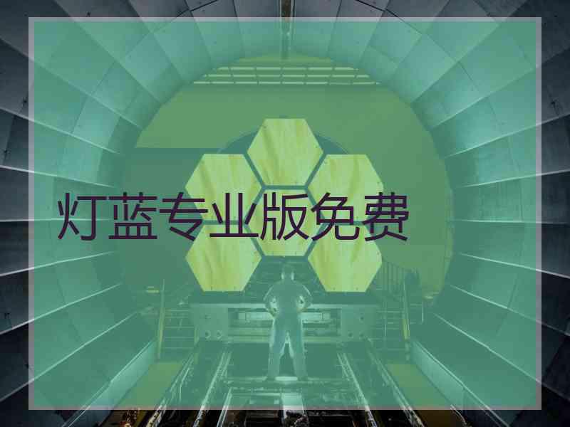 灯蓝专业版免费