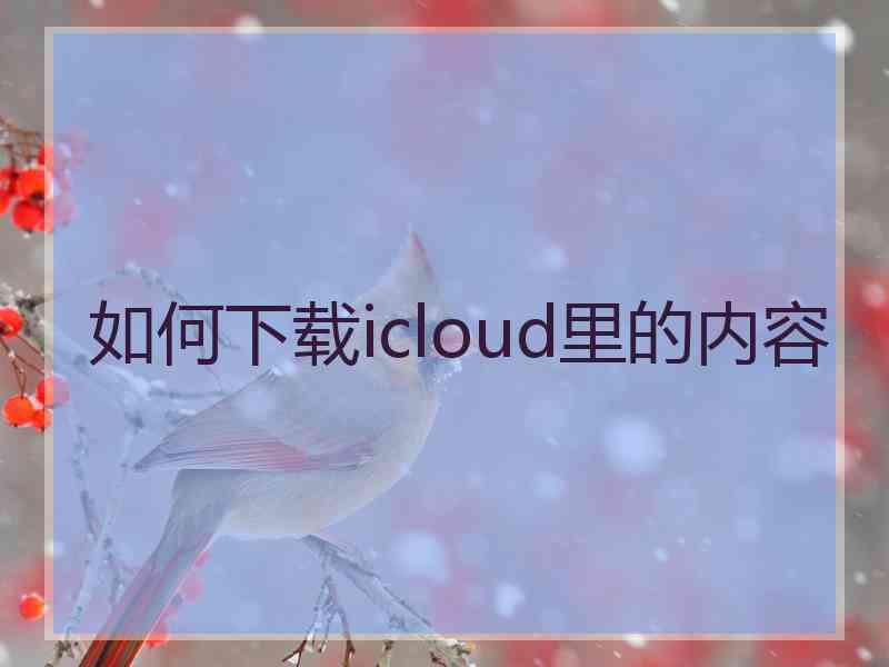 如何下载icloud里的内容