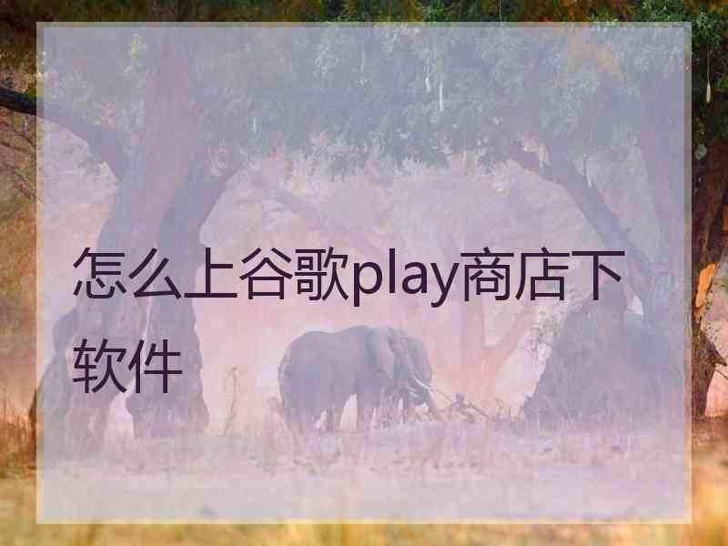 怎么上谷歌play商店下软件