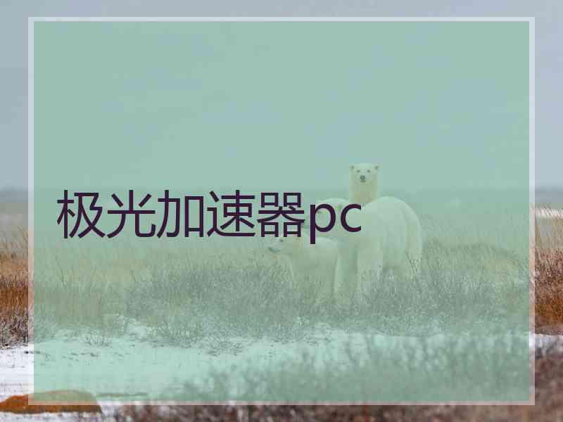 极光加速器pc