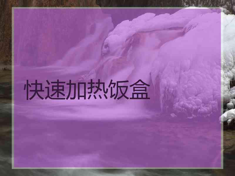 快速加热饭盒