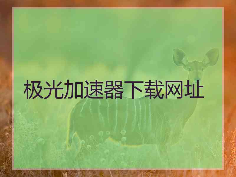 极光加速器下载网址