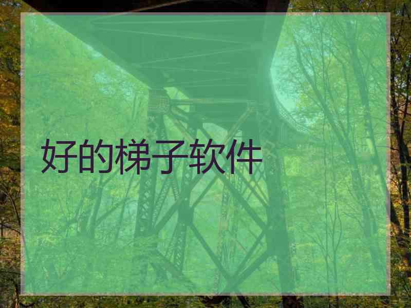 好的梯子软件