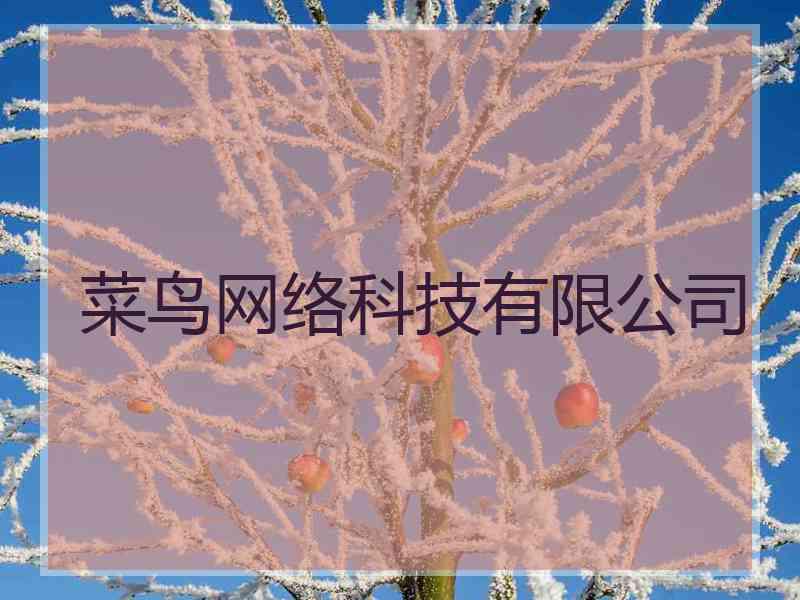 菜鸟网络科技有限公司