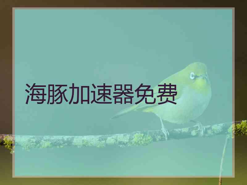 海豚加速器免费