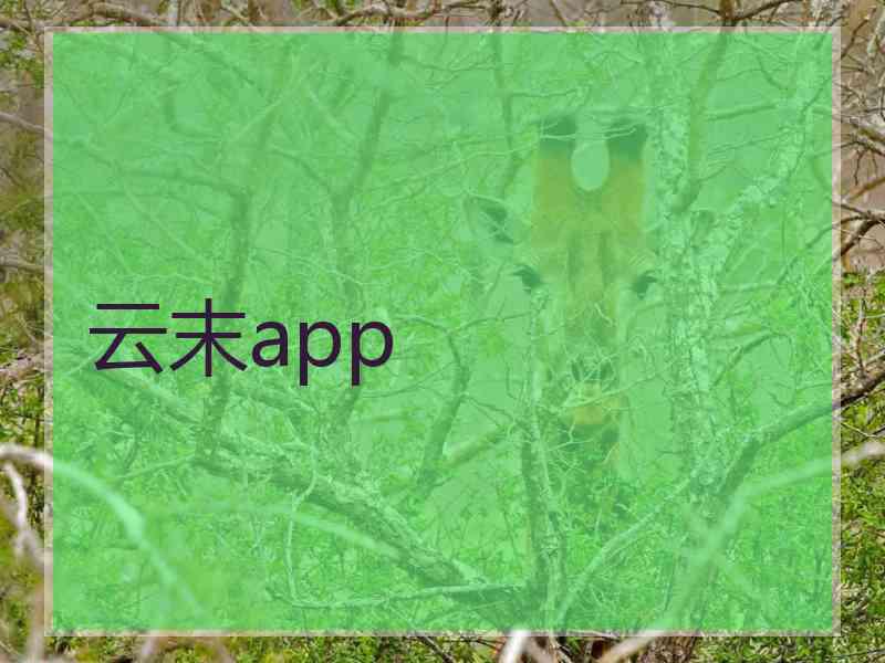 云末app