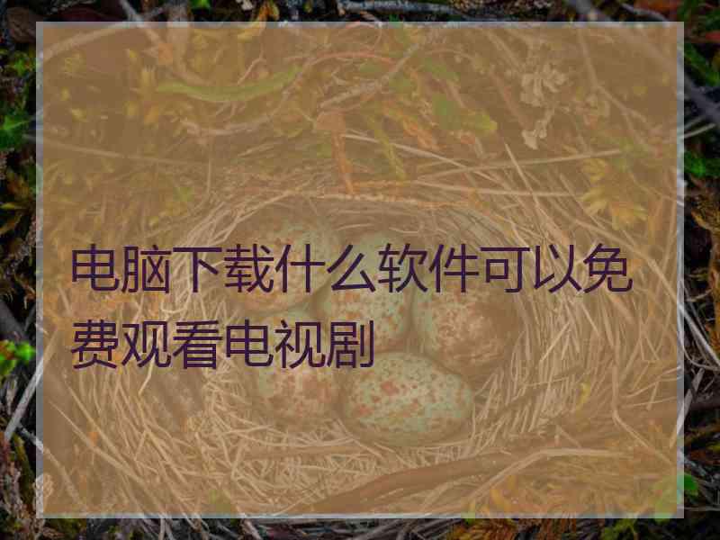 电脑下载什么软件可以免费观看电视剧