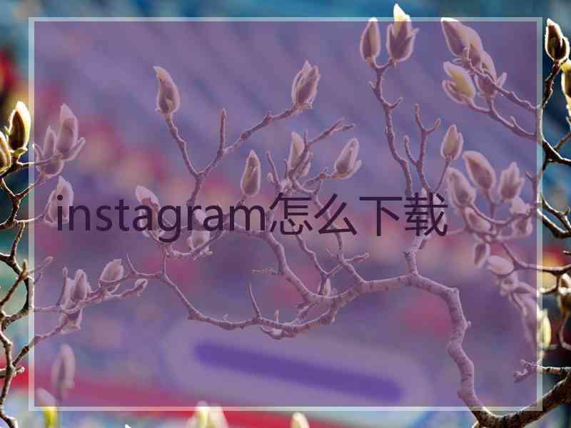 instagram怎么下载