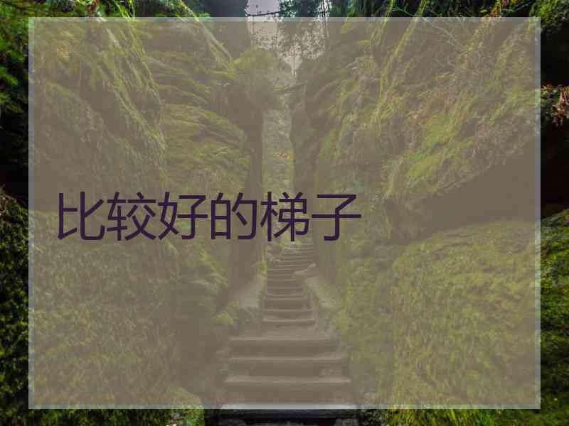 比较好的梯子
