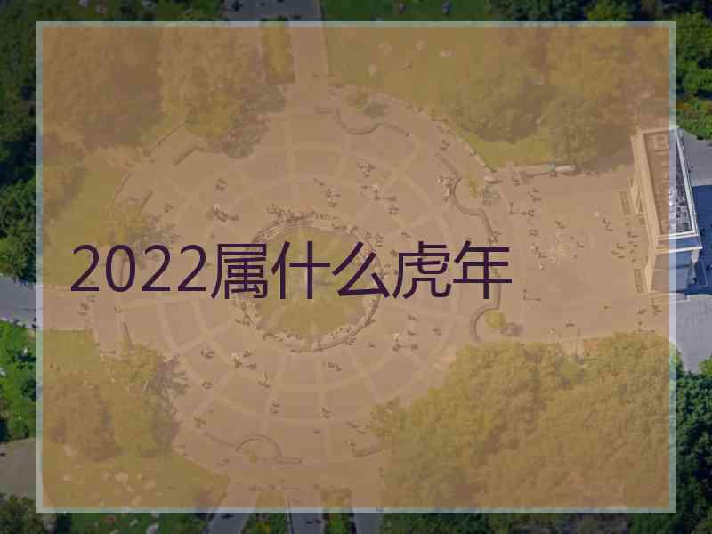 2022属什么虎年