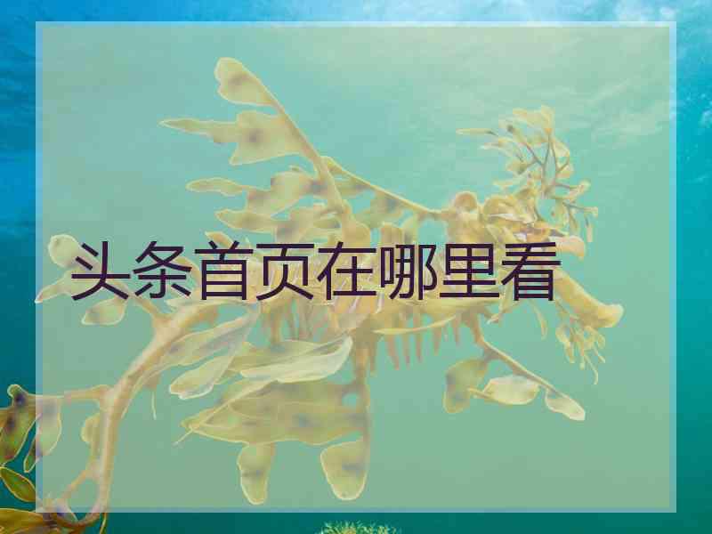 头条首页在哪里看