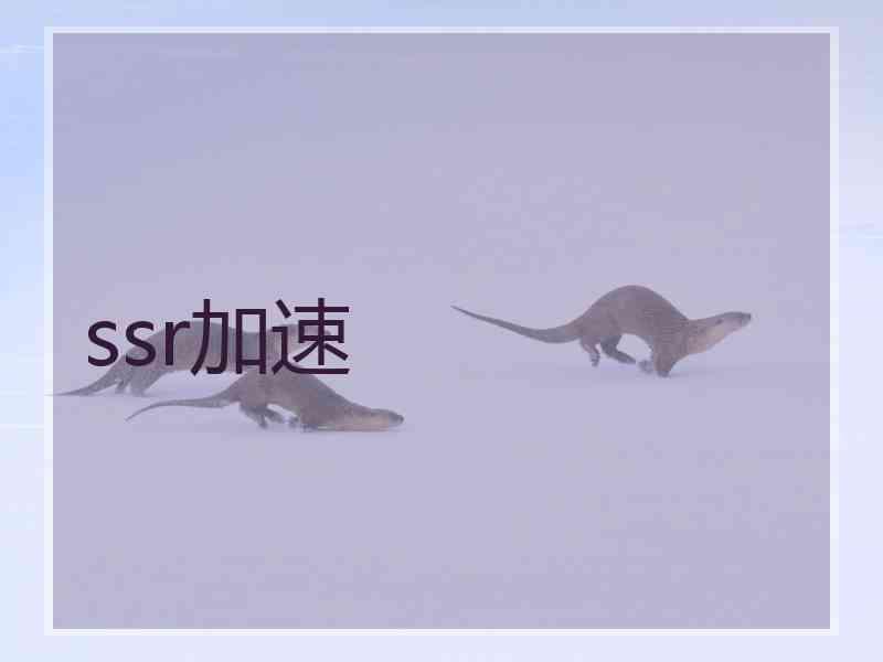 ssr加速