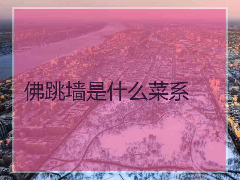 佛跳墙是什么菜系
