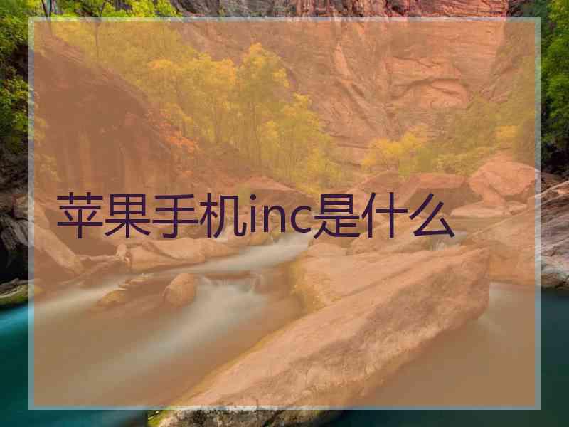 苹果手机inc是什么