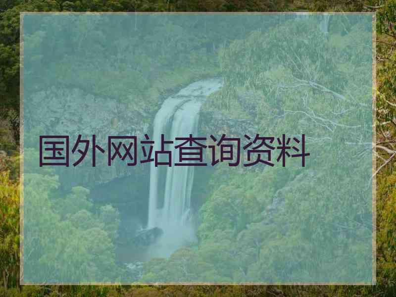 国外网站查询资料