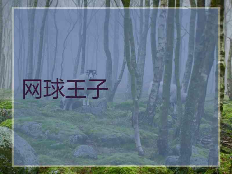 网球王子