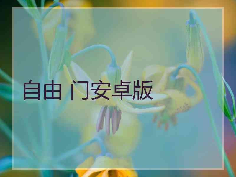 自由 门安卓版