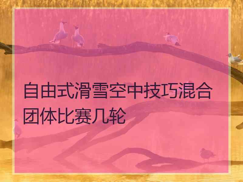 自由式滑雪空中技巧混合团体比赛几轮