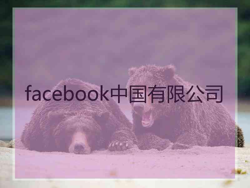 facebook中国有限公司