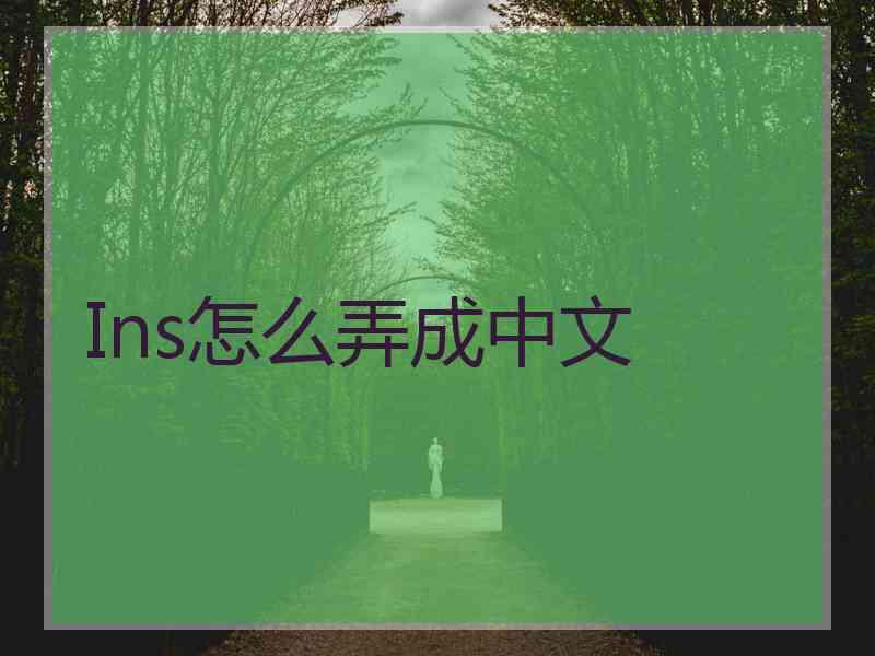 Ins怎么弄成中文