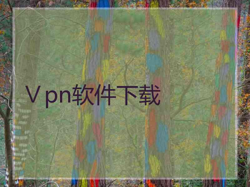 Ⅴpn软件下载