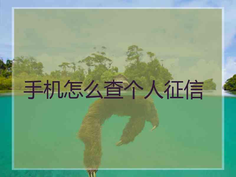手机怎么查个人征信