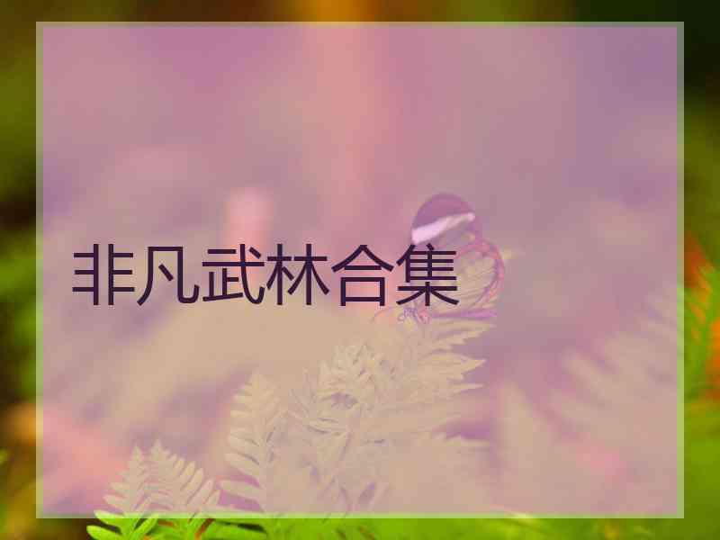 非凡武林合集