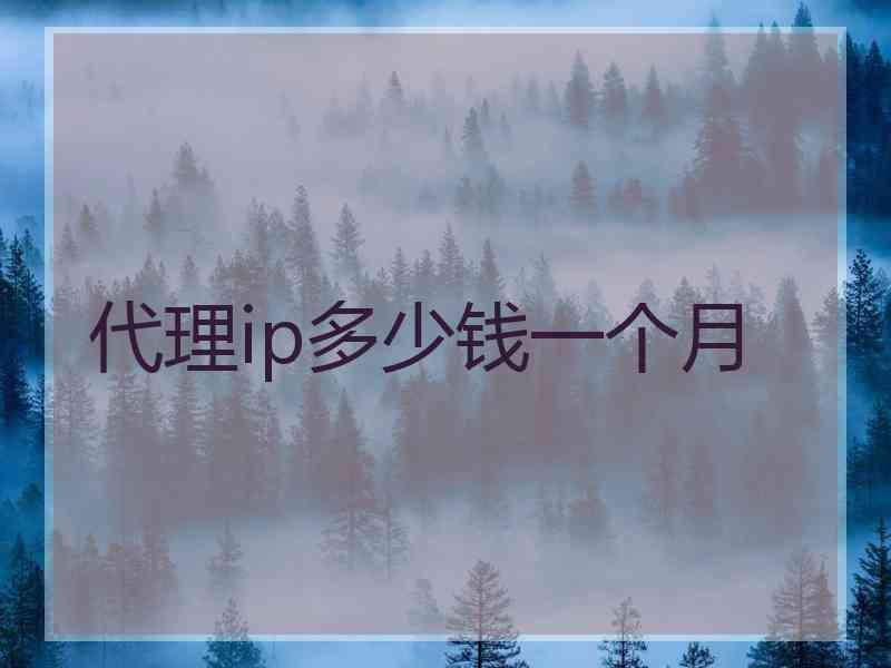 代理ip多少钱一个月