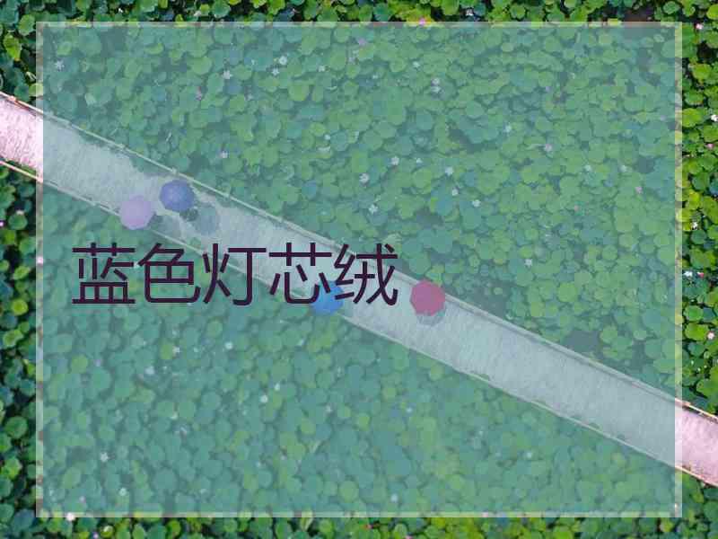 蓝色灯芯绒