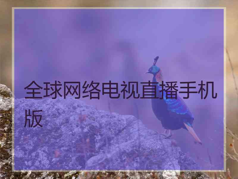 全球网络电视直播手机版