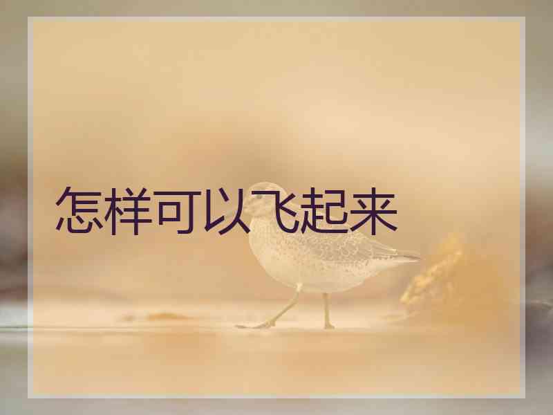怎样可以飞起来