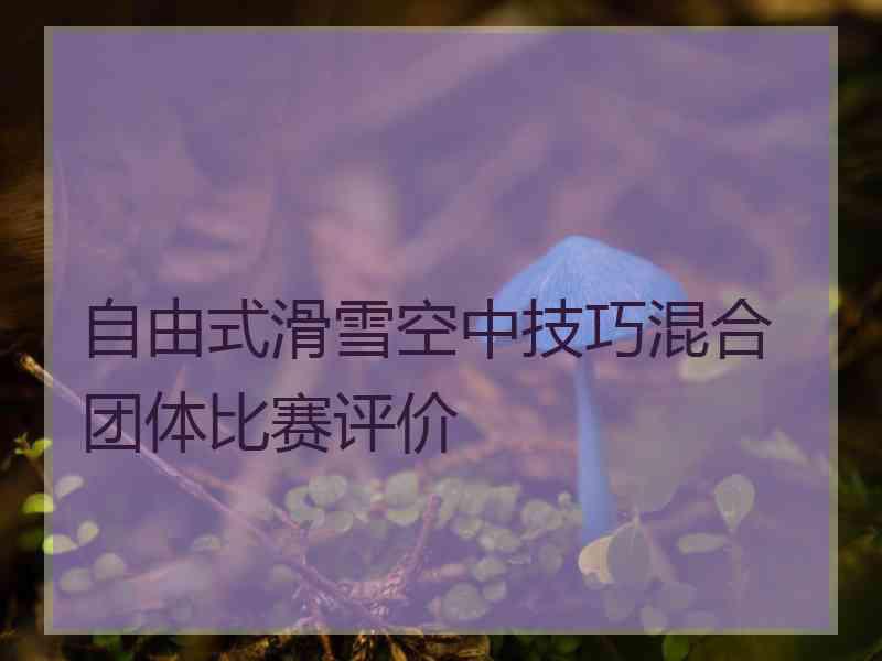 自由式滑雪空中技巧混合团体比赛评价