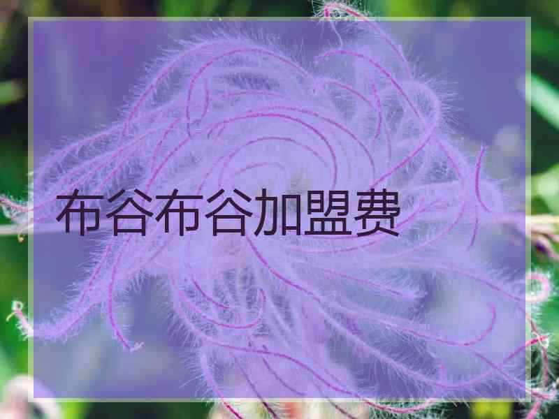布谷布谷加盟费