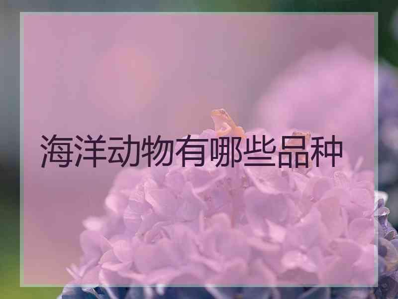 海洋动物有哪些品种