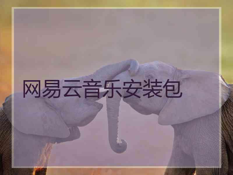 网易云音乐安装包