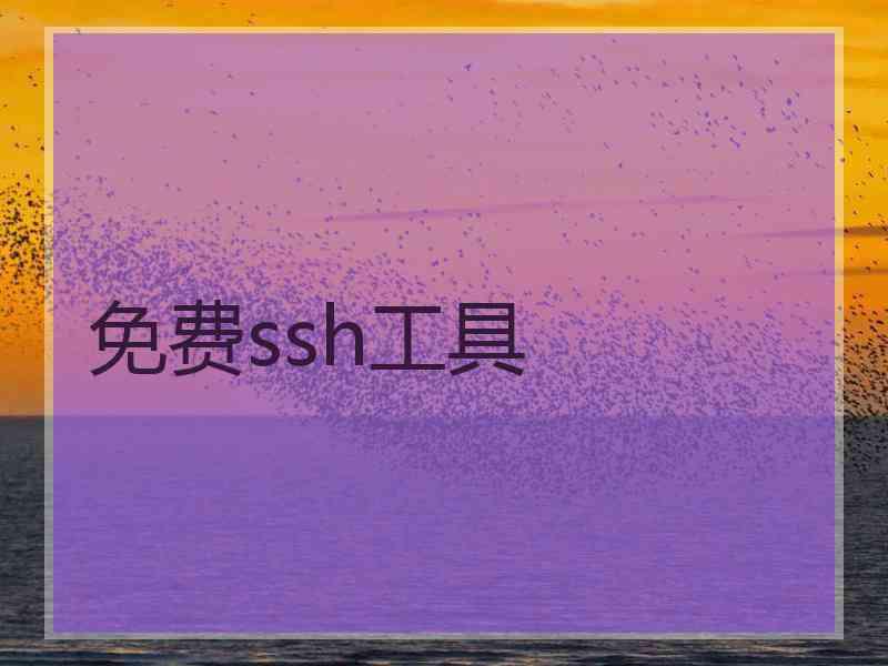 免费ssh工具